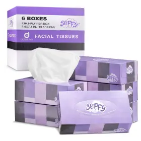 Diplastible 810100950385 Tissues 2 Ply White Tissue - 130 Per Box Car And Travel Face Tissu