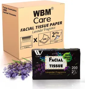 4800 Elvissmart 840162322455 Super Soft 2-ply Tissues With Lavender Fragrance Total Pack Of 24 200