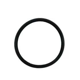 Ms623697 Nespresso Aeroccino 3 Seal/rubber Gasket For Lid