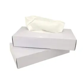 Pantryware Essentials 810011473874 Pe- Tissue -500 -5 Flat Boxes Of 100ct