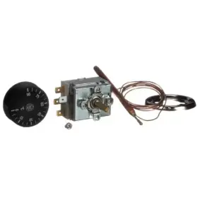 Tr29325 Quality Espresso 540010/c Thermostat Assembly Thermo Milk Warmer 250v