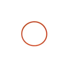 Rancilio 799475079221 Silvia Boiler Gasket