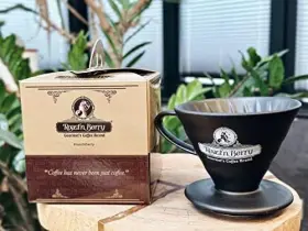 Roastn Berry 785034878787 V60 - Pour Over Coffee Dripper Maker -ceramic Slow Brewing Accessori