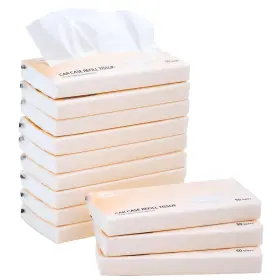 Ct12c Winoo Design Car Tissue Refills 600 Sheets Facial Tissues For Visor Hol
