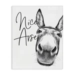 Stupell Industries Donkey Bathroom Humor Canvas Art 36 X 48 Inches Easy To Hang. Fixed Price $128.63.