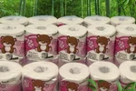 Natural Touch 3 Ply Bathroom Tissue Mega Rolls 12 Pack Premium Softness. Fixed Price $23.66.