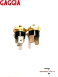 Gaggia Parts Coffee Thermostat Set 107 & 145 For Classic - DM1288, DM1168. Fixed Price $19.95.