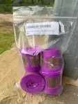 Nib Goldtone Reusable Cups For Keurig Coffee Maker Refillable K-cup (4 Pack). Fixed Price $7.00.