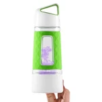 Fruition 20OZ And Tea Infuser Bottle (green). Fixed Price $10.99.